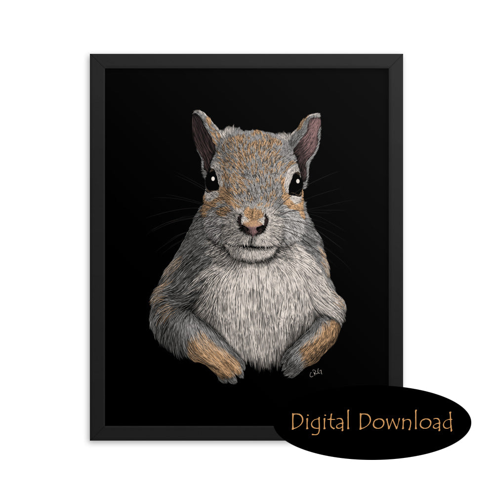 Squirrel Downloadable Art