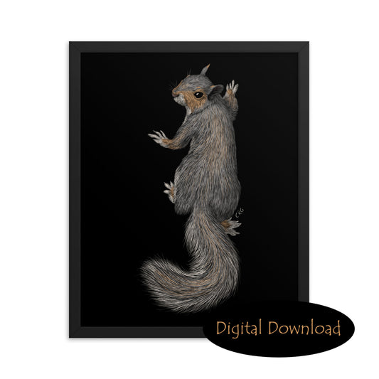 Gray Squirrel Climbing Downloadable Art (Special Discounted Price)