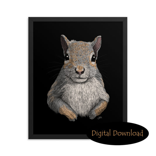 Grey Squirrel Digital Download Art Print