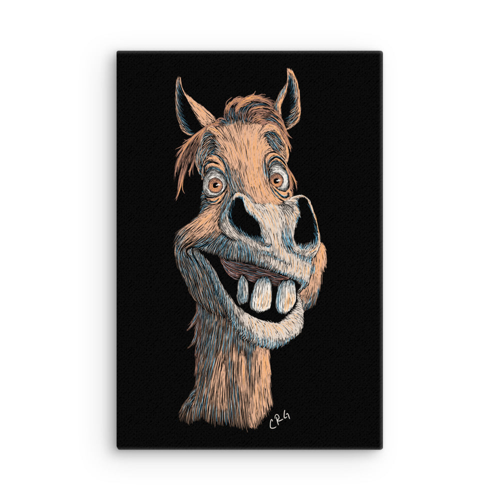 Smiling Horse Canvas Art Print
