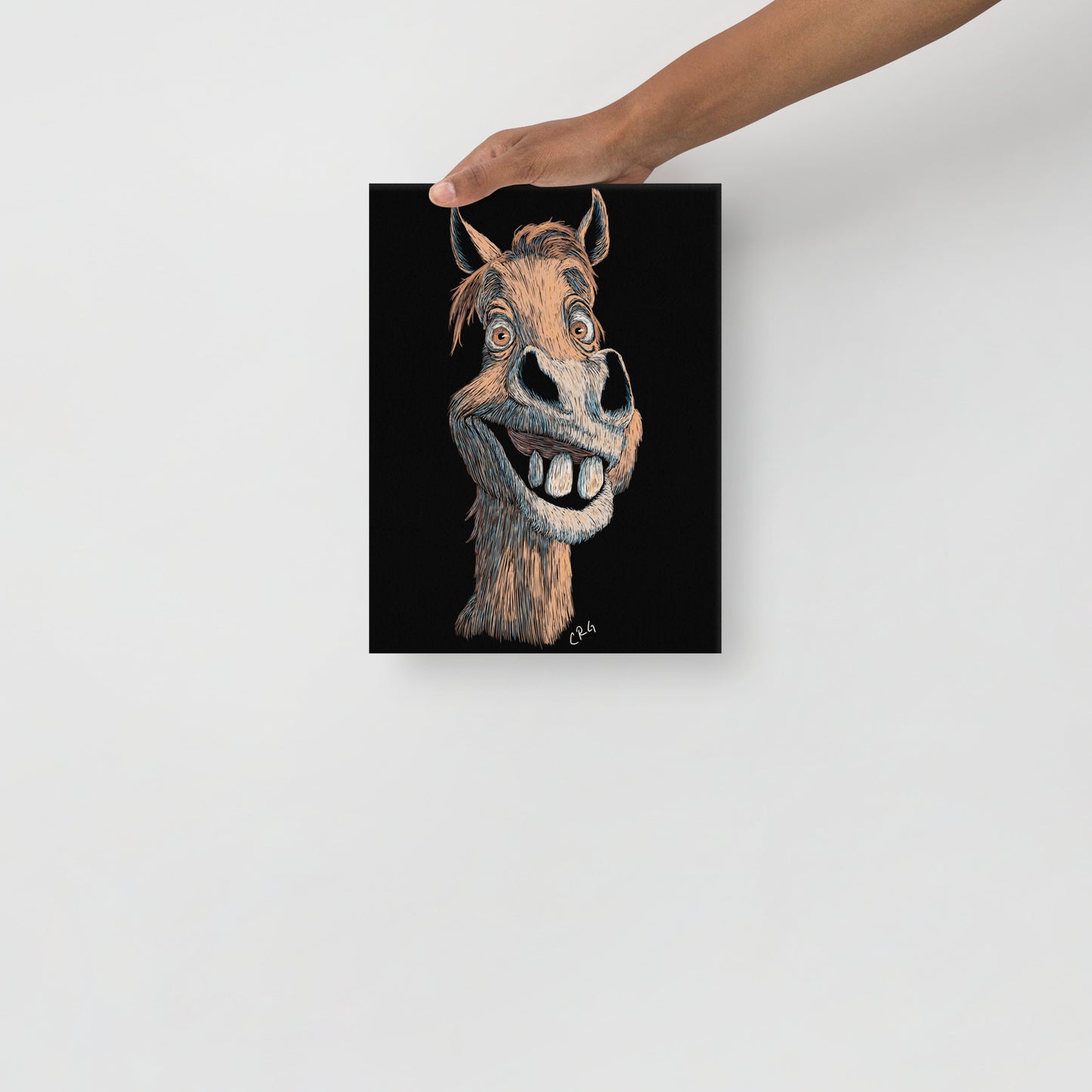 Smiling Horse Canvas Art Print