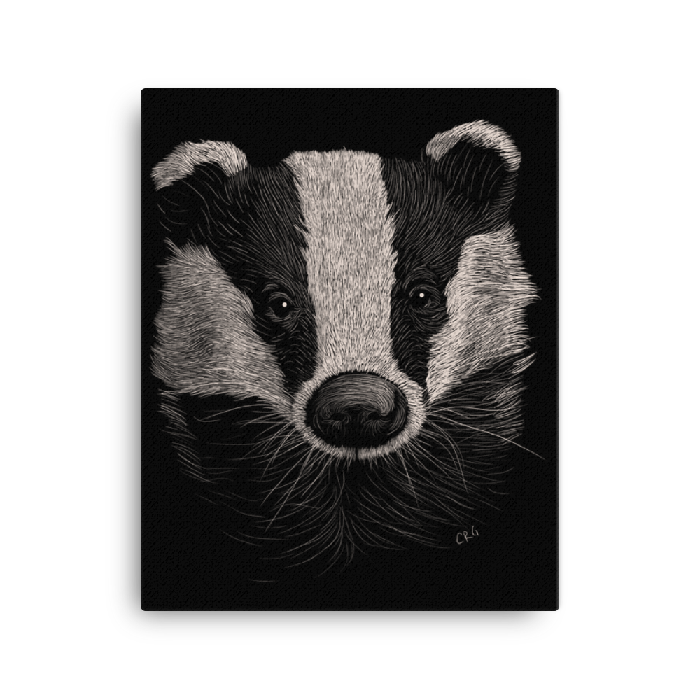 Badger Art Prints