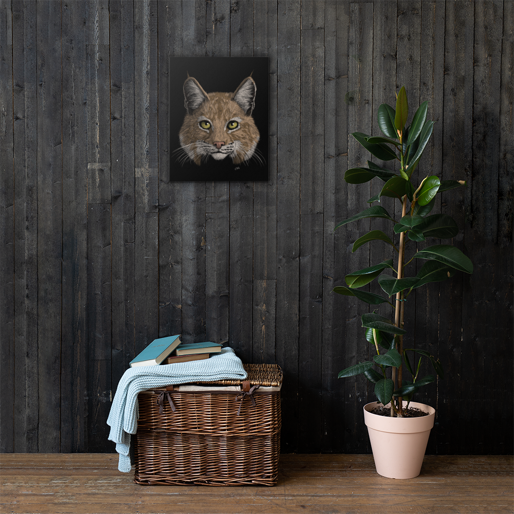 Bobcat Art Prints
