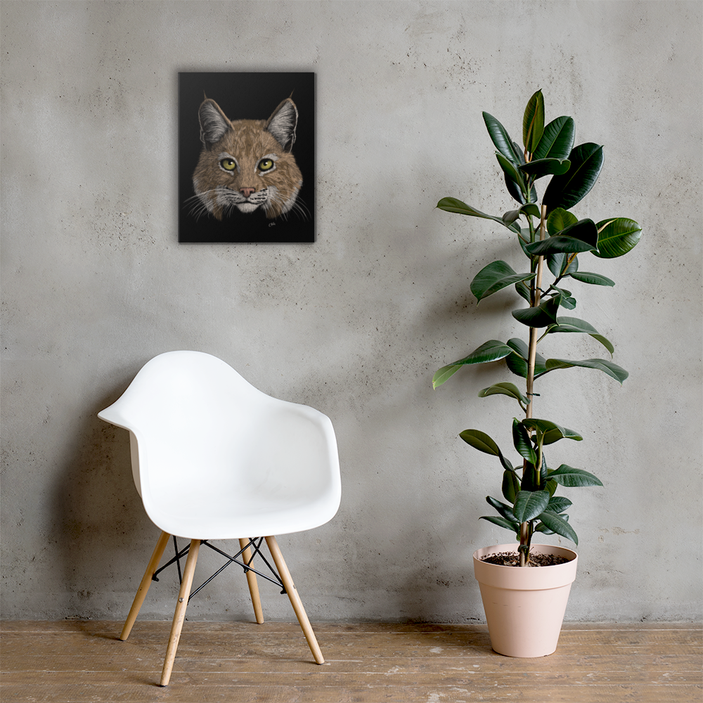 Bobcat Art Prints