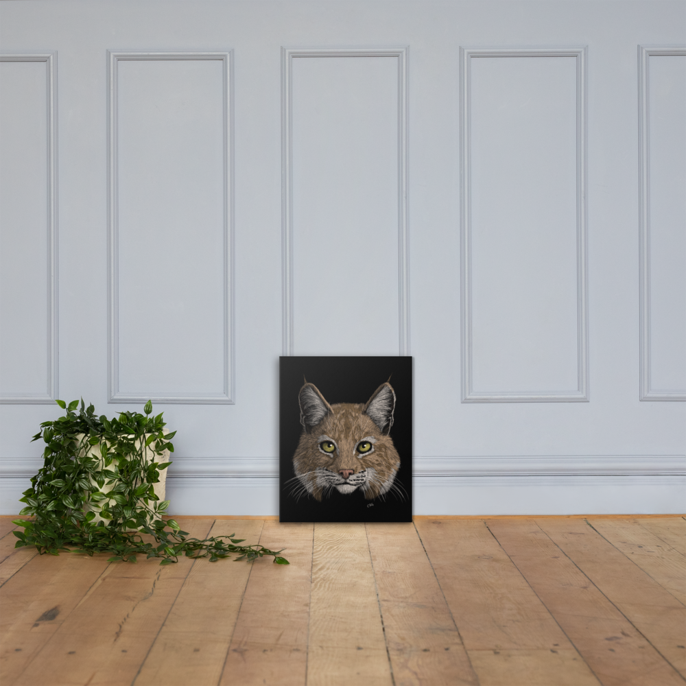 Bobcat Art Prints