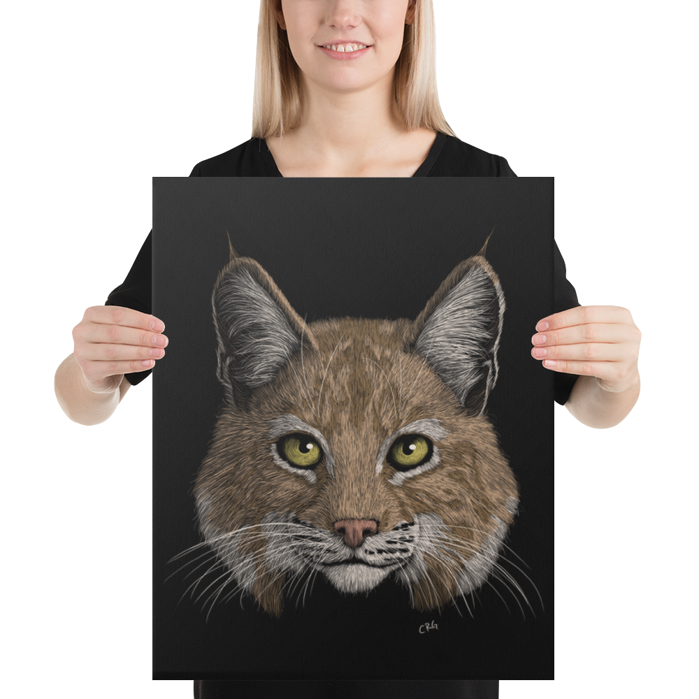 Bobcat Art Prints