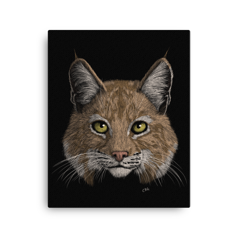 Bobcat Art Prints