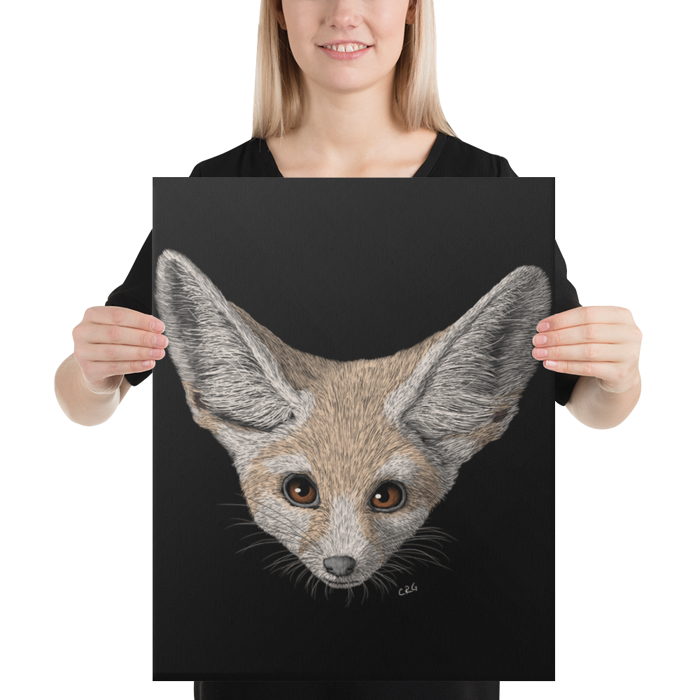 Fennec Fox Art Prints