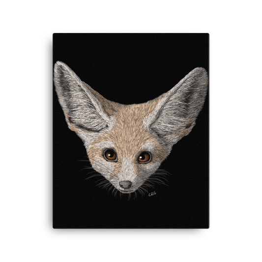 Fennec Fox Art Prints