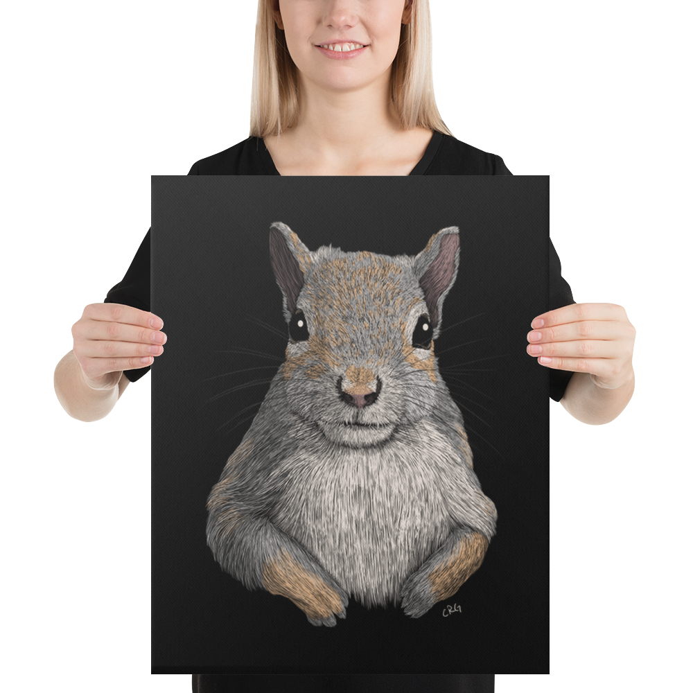 Gray Squirrel Art Prints