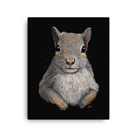 Gray Squirrel Art Prints