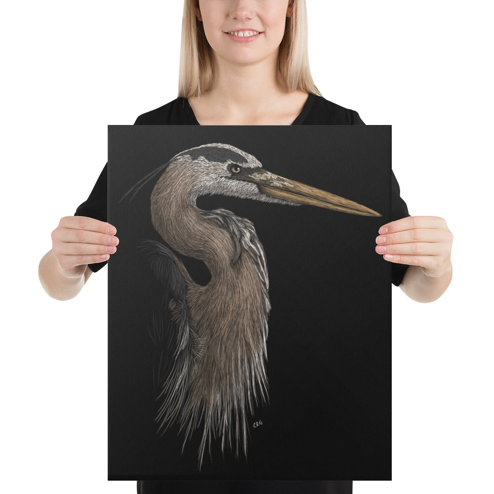 Great Blue Heron Art Prints