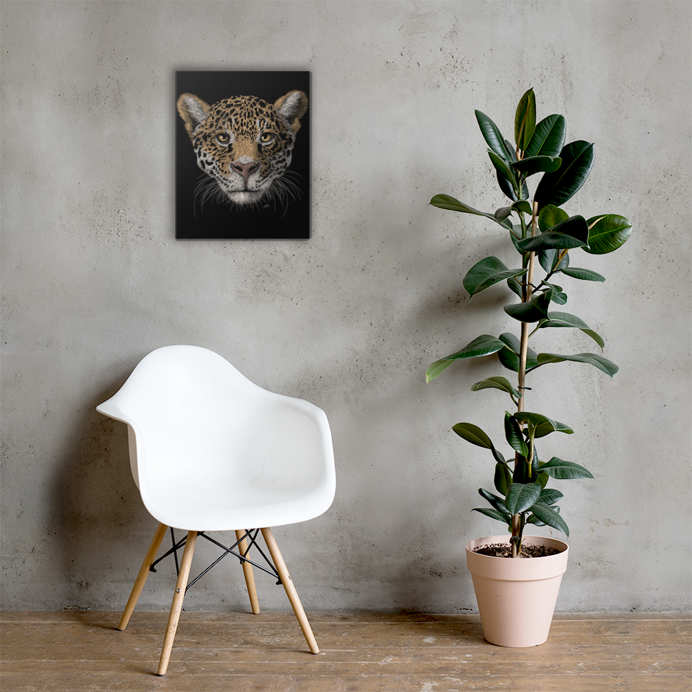 Jaguar Art Prints