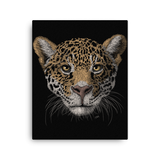 Jaguar Art Prints