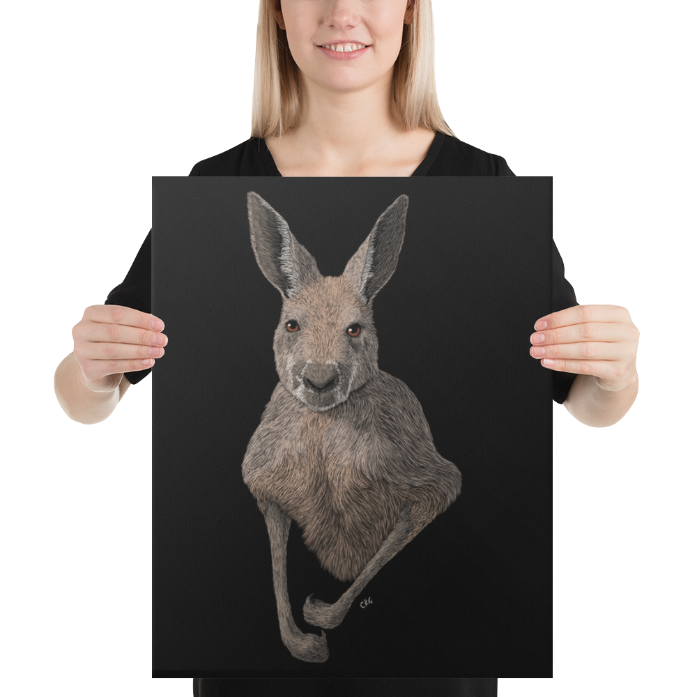 Kangaroo Art Prints