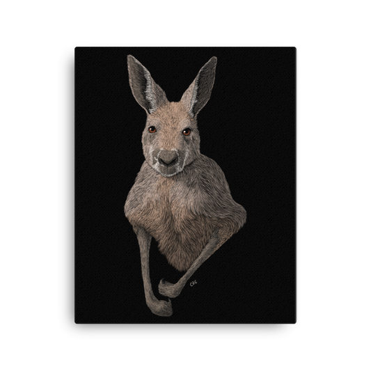 Kangaroo Art Prints