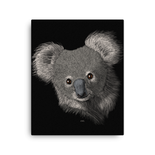 Koala Art Prints