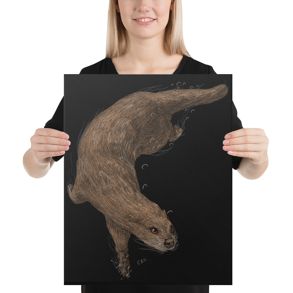 Otter Swimming Art Prints