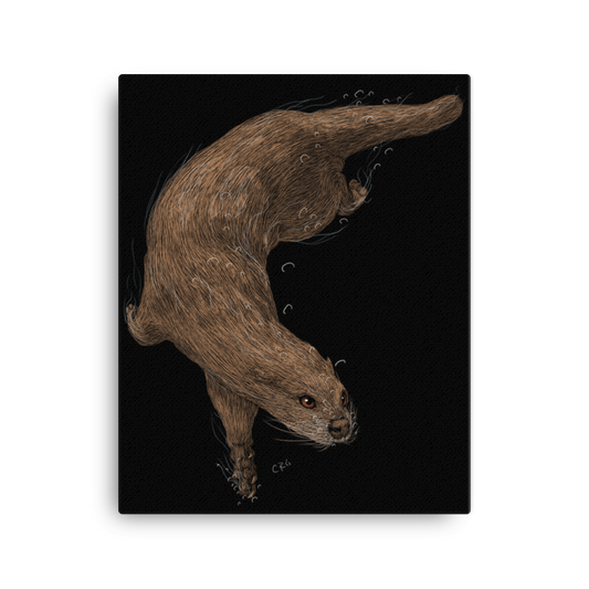 Otter Swimming Art Prints