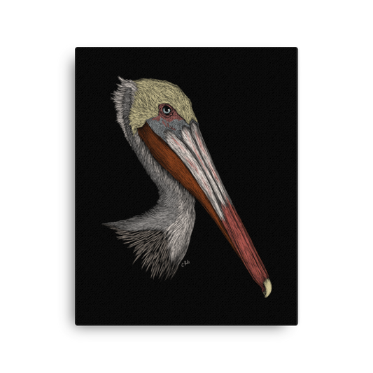 Pelican Art Prints