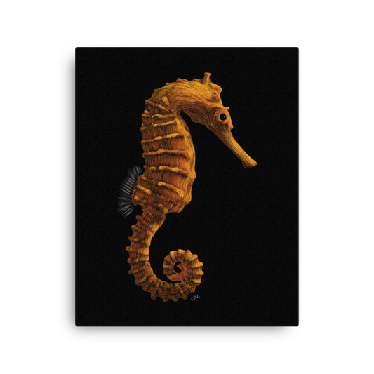 Seahorse Art Prints