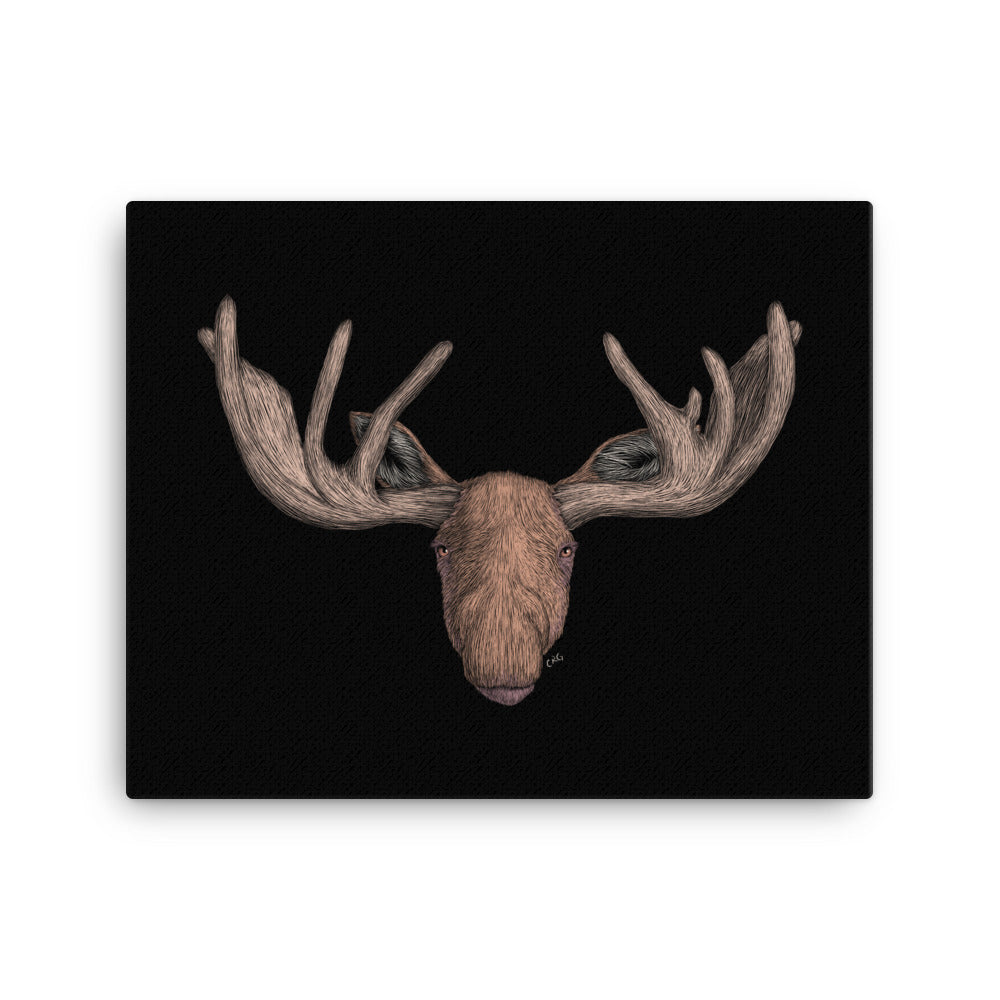 Moose Art Prints
