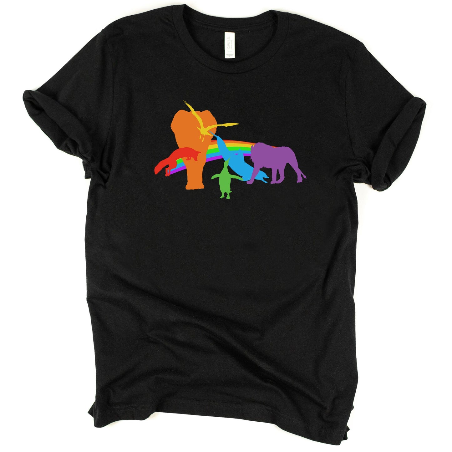 LGBTQIA+ Rainbow Shirt