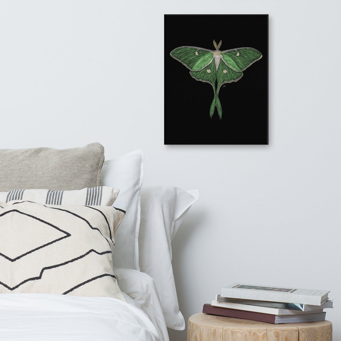 Luna Moth Canvas Art Print