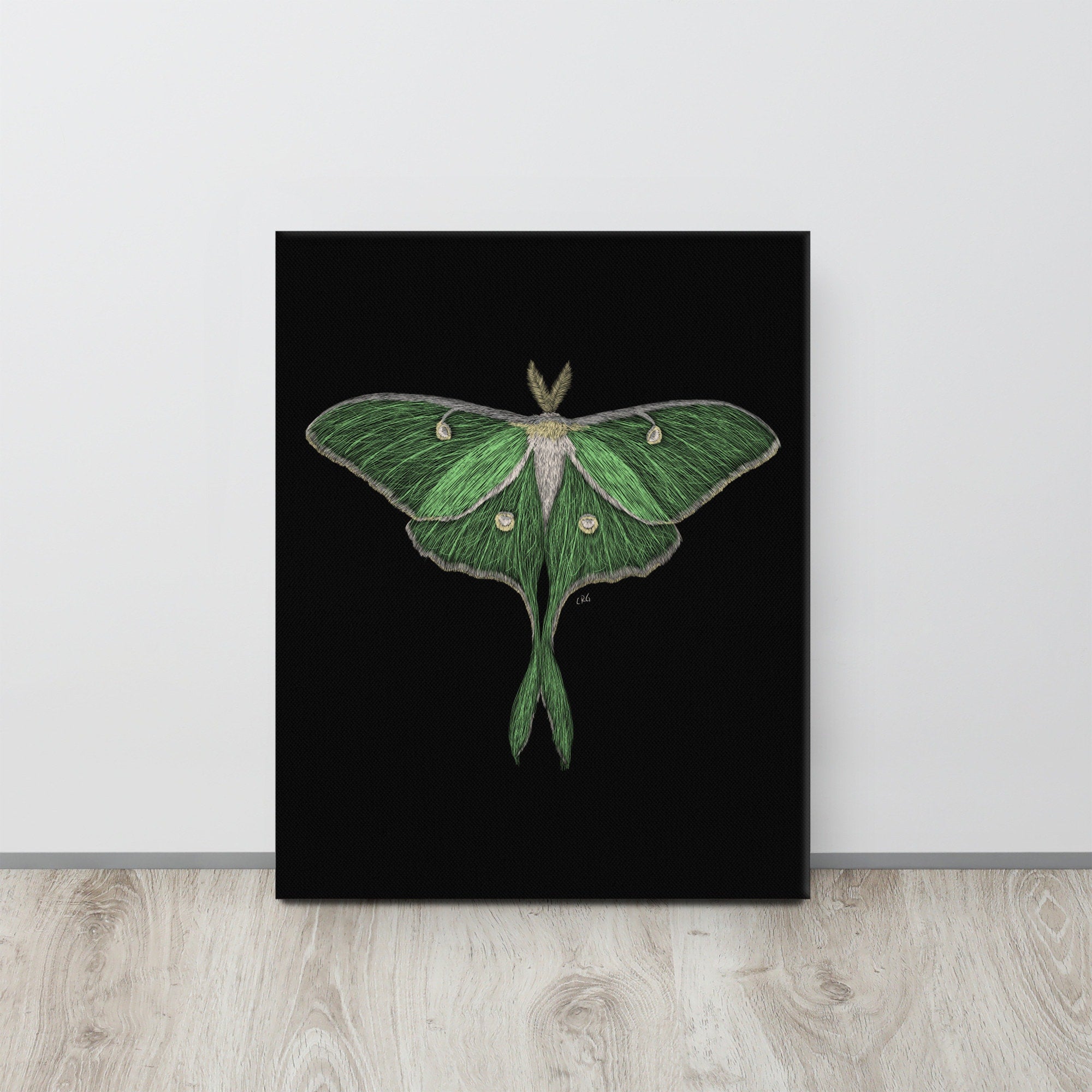 Luna Moth Canvas Art Print