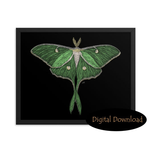 Luna Moth Digital Download Art Print