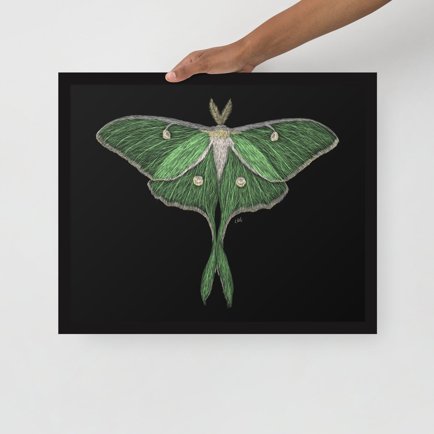 Luna Moth Digital Download Art Print