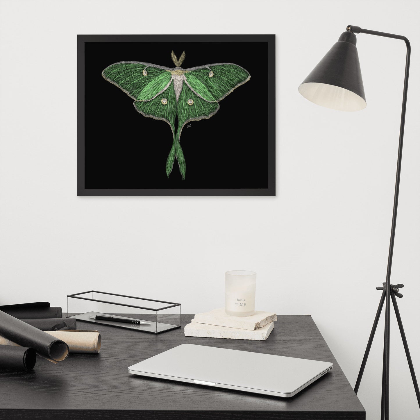 Luna Moth Digital Download Art Print