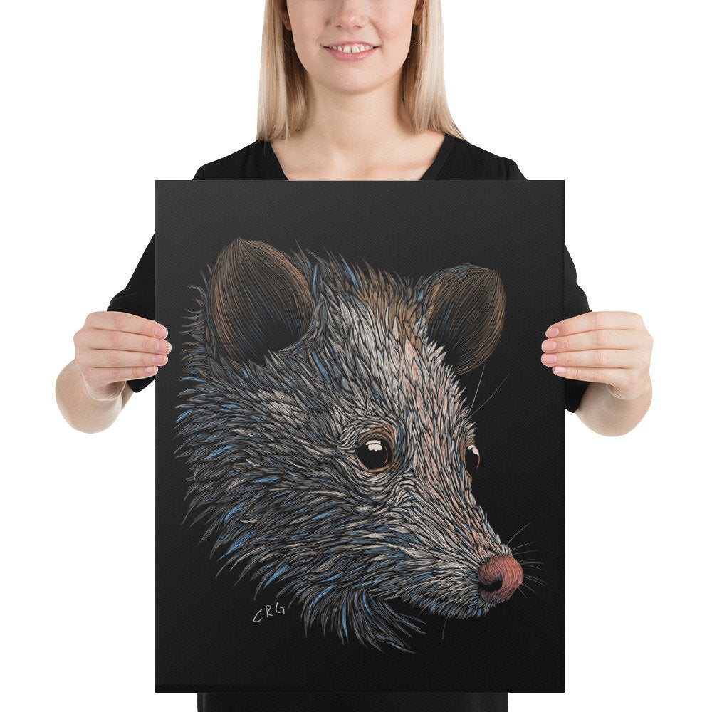 Opossum Canvas Art Print
