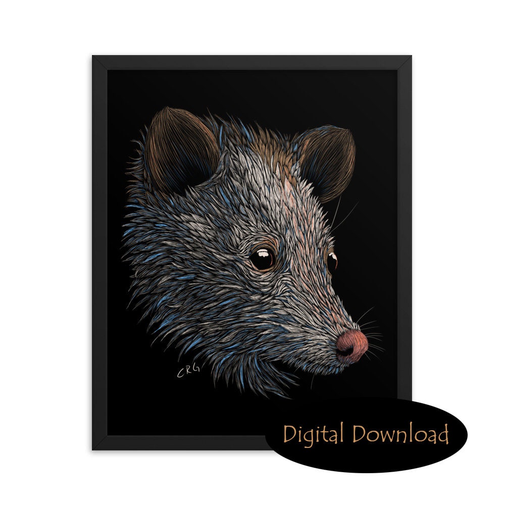 Opossum Digital Download Art Print