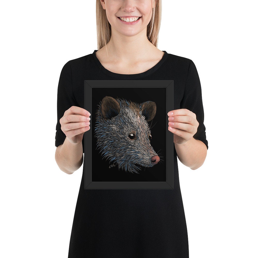 Opossum Digital Download Art Print
